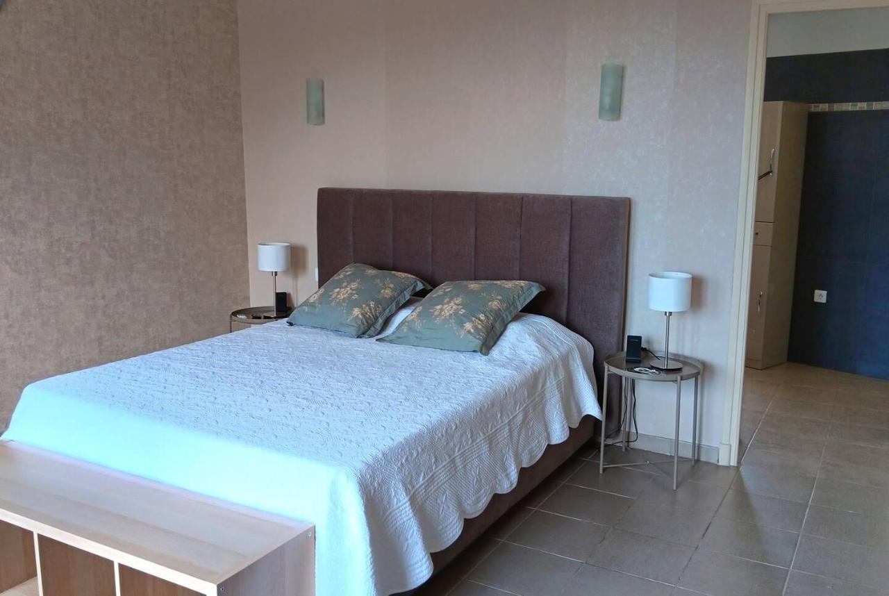 Tres Grand Lumineux Apartment